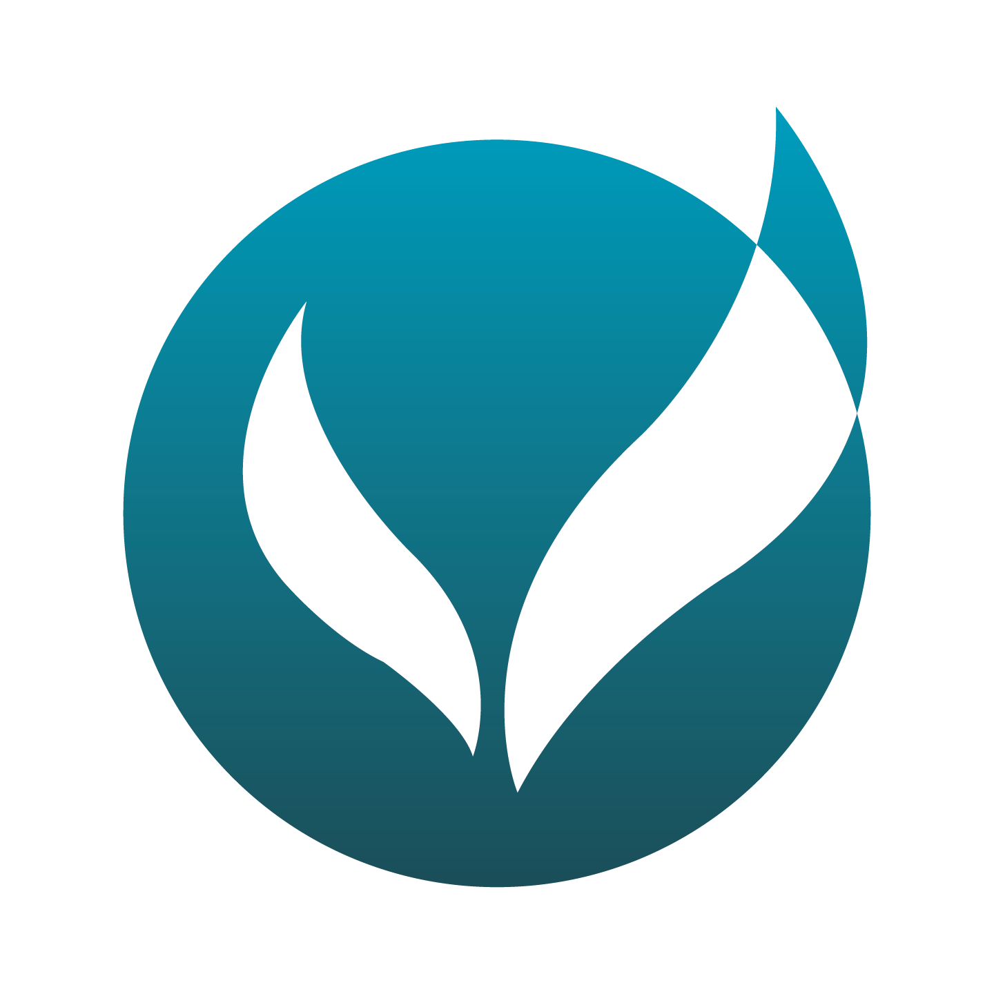 turquoise logo.png